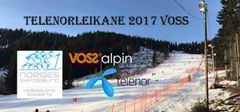 Telenorlekene Voss 2017